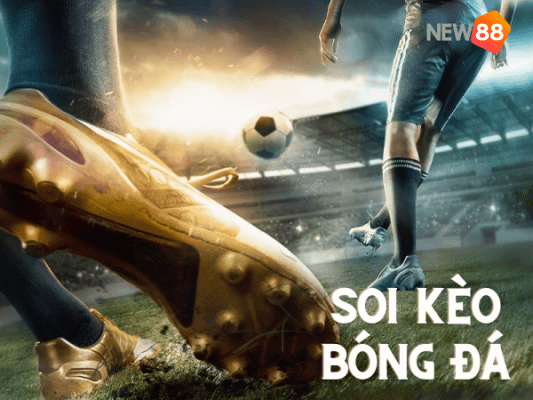 Tổng Hợp Các Loại Kèo Nhà Cái Việt Nam Uy Tín Tại New88 3 keo nha cai viet nam 2